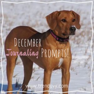 Journal prompts. December journal prompts. December journaling prompts. Journaling prompts. Journaling.
